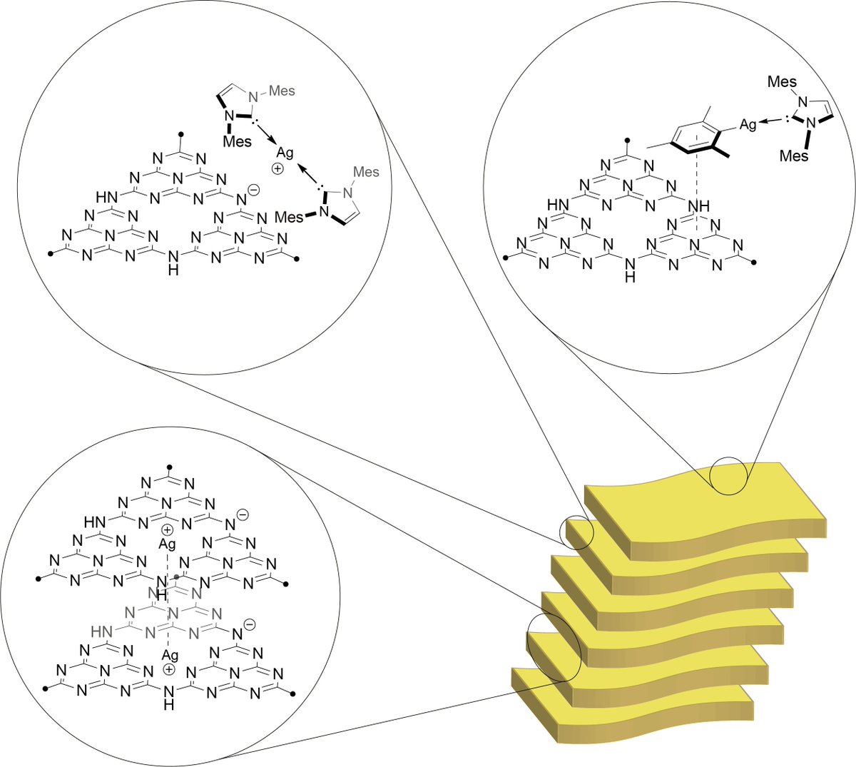 Excited to share our recent publication from <a href="/CoperetGroup/">Copéret Group / @coperetgroup.bsky.social</a> in <a href="/angew_chem/">Angewandte Chemie</a> , where we identified the surface sites in g-C3N4 (a material known for ~200 years!) with Ag-probes using #SOMC #ssNMR
Thanks <a href="/WCC_weicao/">Weicheng Cao</a>, Enzo, &amp; Milivoj
Thanks <a href="/snsf_ch/">Swiss National Science Foundation</a> for the funding,<a href="/ETH/">ETH Zürich</a> for facilities