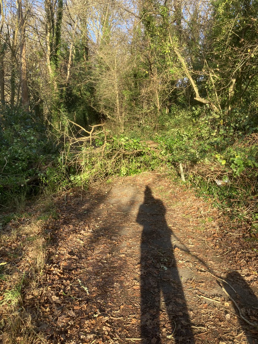 garyablet's tweet photo. @Help_C2C hi there is a tree blocking the Ely Trail. Best entrance Llandwade Close Fairwater. Cardiff https://t.co/wvo1xTzRVB