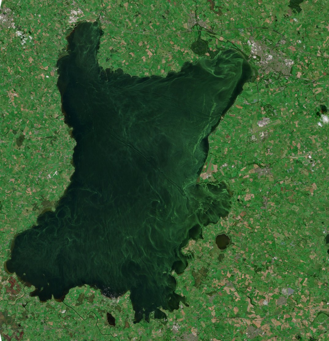 NI SPACE (@nispaceorg) on Twitter photo Three Companies Lead Research to Tackle Blue Green Algae in Lough Neagh
NI SPACE, <a href="/spacegovuk/">UK Space Agency</a> & DAERA have awarded £360K to <a href="/_3DEO/">3DEO</a>, Plastic-i & <a href="/UniofNewcastle/">Newcastle University</a> to develop satellite tech for monitoring algae blooms, protecting NI waterways.
Full story: bit.ly/3D9JERS Three Companies Lead Research to Tackle Blue Green Algae in Lough Neagh
NI SPACE, <a href="/spacegovuk/">UK Space Agency</a> & DAERA have awarded £360K to <a href="/_3DEO/">3DEO</a>, Plastic-i & <a href="/UniofNewcastle/">Newcastle University</a> to develop satellite tech for monitoring algae blooms, protecting NI waterways.
Full story: bit.ly/3D9JERS