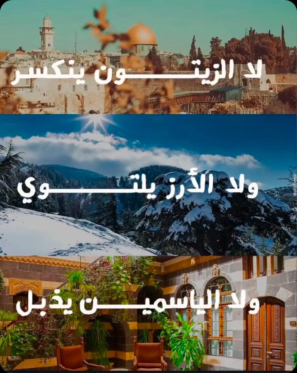 LOliAlBishri's tweet photo. #فلسطين
#لبنان
#سوريا https://t.co/q0P6fzdwen