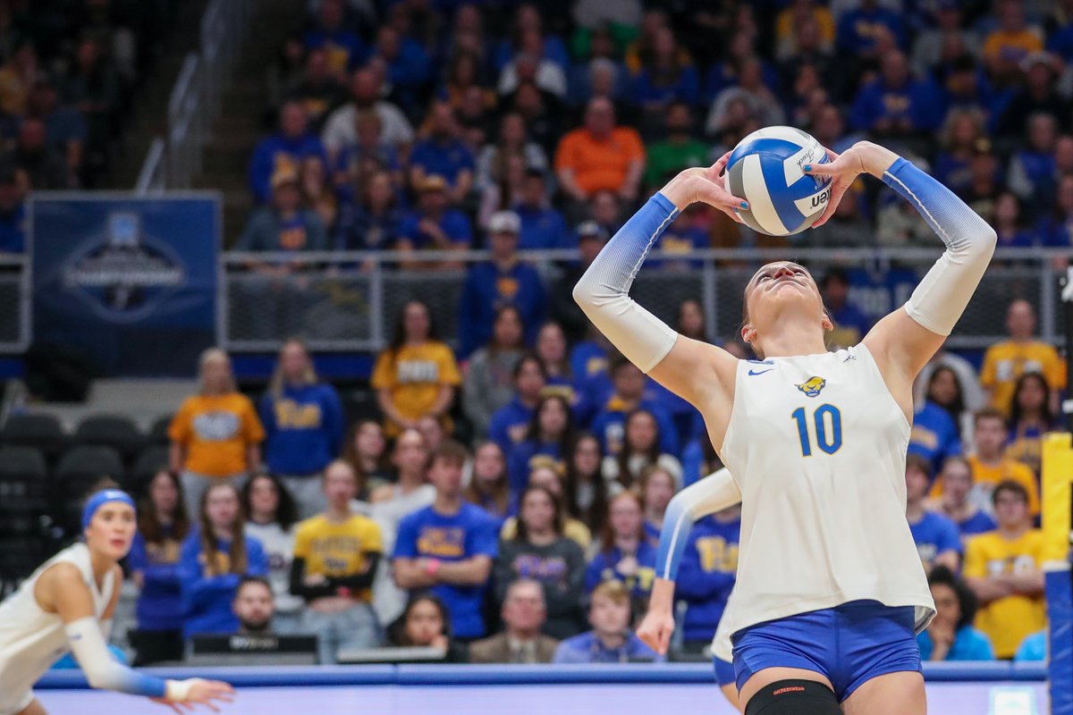David Hague (@dhphoto11) on Twitter photo Thread of my favorite pics from <a href="/Pitt_VB/">Pitt Volleyball</a> 1st weekend of the NCAA Volleyball Tournament #H2P Thread of my favorite pics from <a href="/Pitt_VB/">Pitt Volleyball</a> 1st weekend of the NCAA Volleyball Tournament #H2P