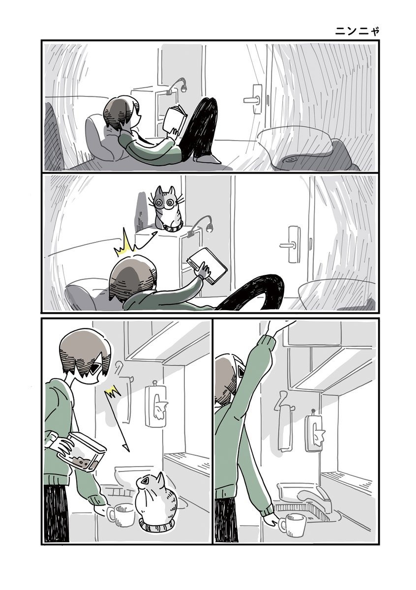 キュルZ tweet media