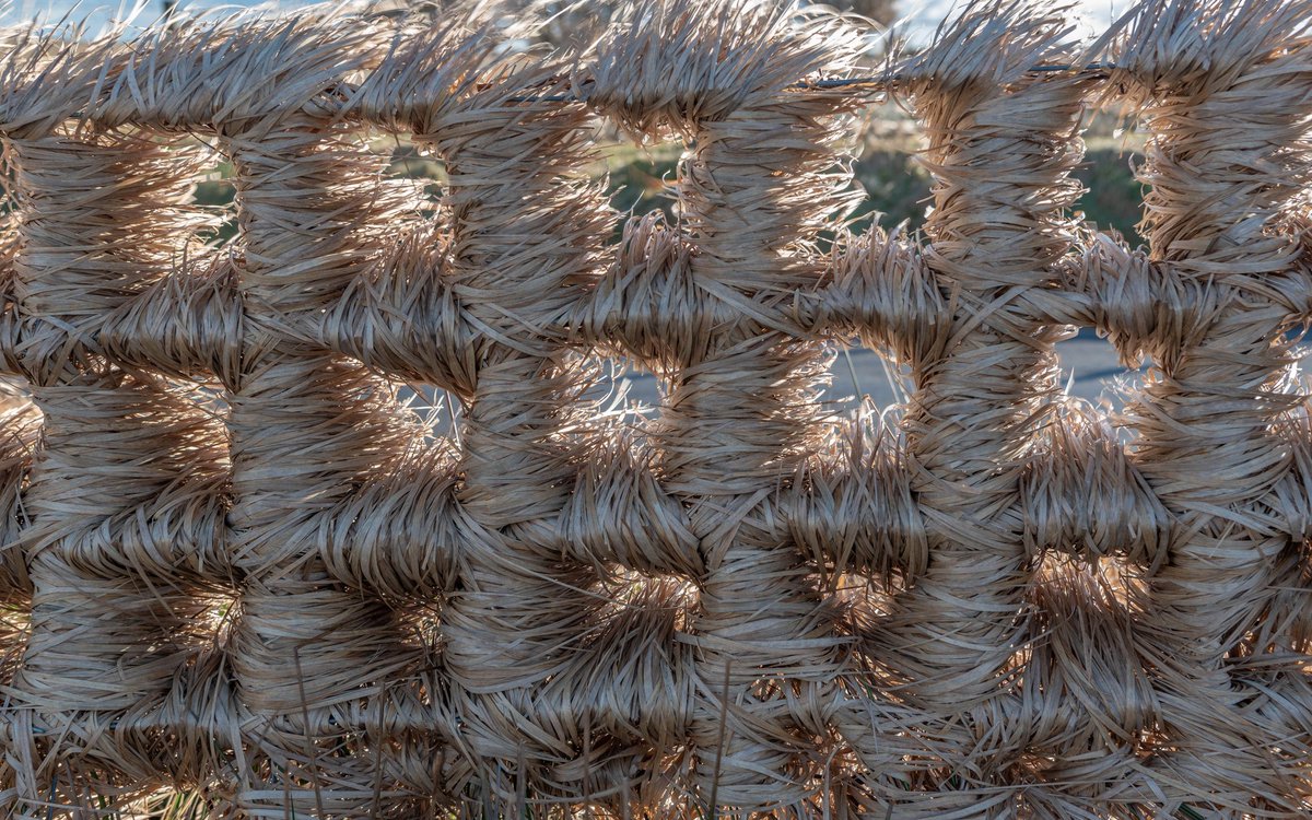 Amazing display of #StormDarragh aftermath, discovered up on #Exmoor #Somerset... where the wild conditions blasted this fence with hay, leaving nature's own woven version of 'rattan furniture'. 
Thanks to Mark Small for the pics... <a href="/bbcsomerset/">BBC Somerset</a>