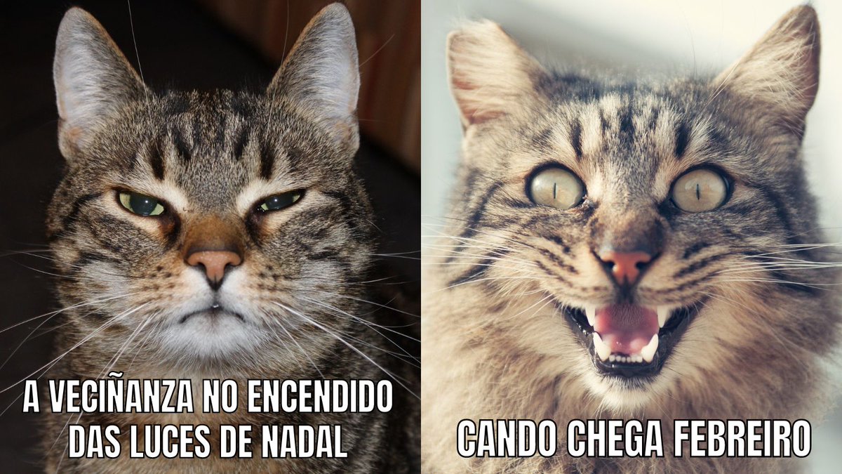 As cidades e pobos perden espazos públicos, xentrifícanse y organízanse en torno ó consumo e ó turismo. Reivindiquemos o dereito á cidade das persoas que a habitan. 13/12, 20h, Farola de Urzáiz #NonTuristificacionVigoMorrazo #VigoMorrazoParaVivir #CiudadesyPueblosParaVivir