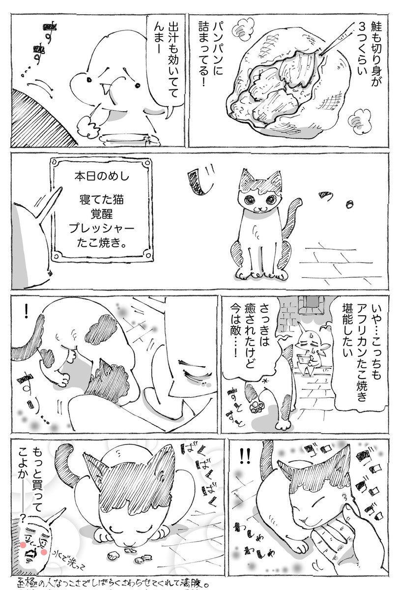海外のアフリカンたこ焼き猫めし。 