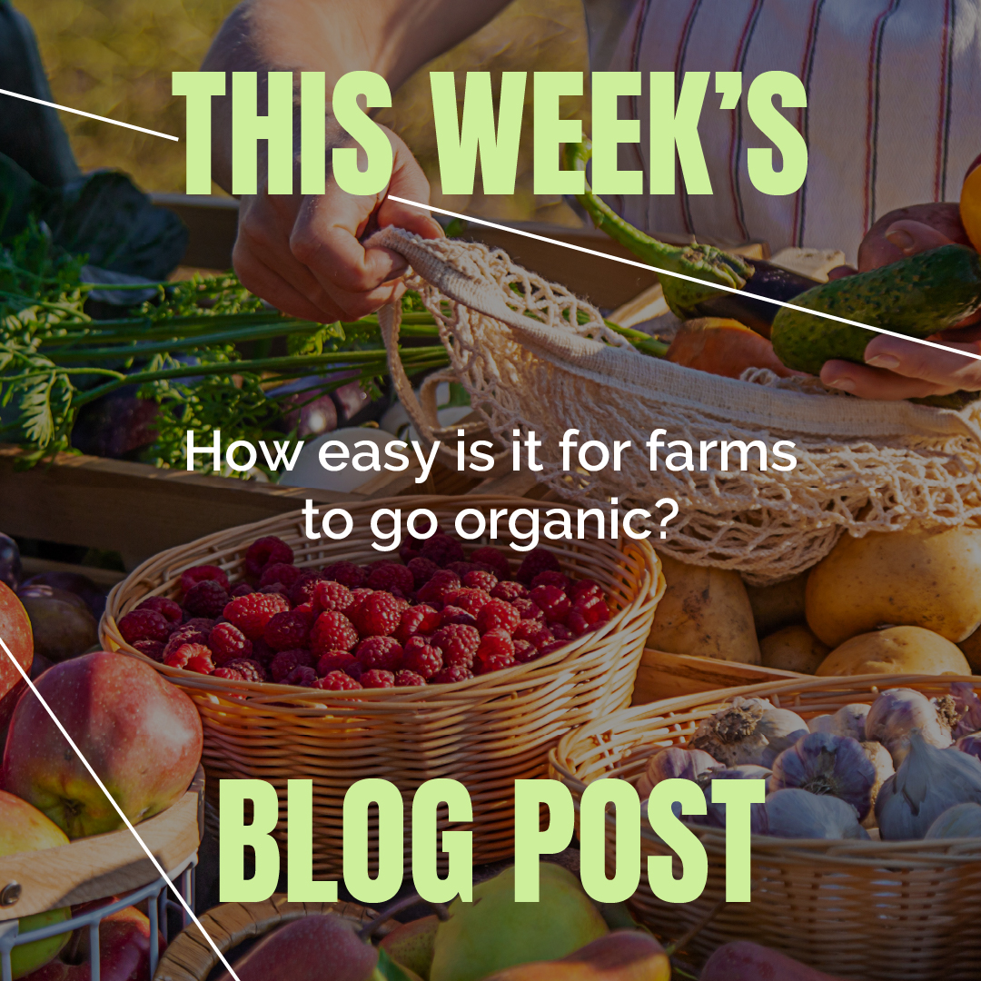 InFlavour tweet media