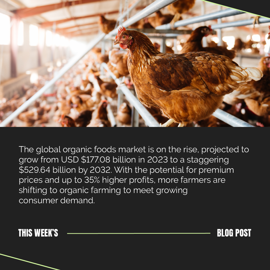 InFlavour tweet media