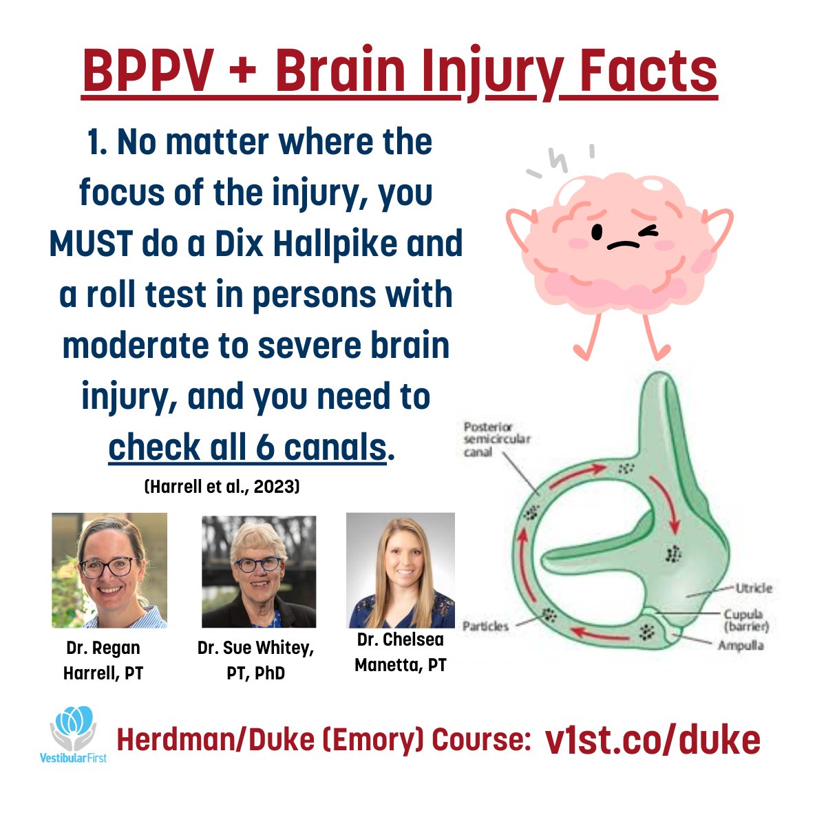 VestibularFirst's tweet photo. Do you see BPPV after brain injury? Learn all the nuances of assessment and treatment for BPPV and more: https://t.co/xIgXVDNOoe to sign up for the most GAME-CHANGING week-long in-person vestibular course at @EmoryUniversity, run by @Duke_DPT. #vestibularrehabilitation #bppv https://t.co/Oy3w232OM0