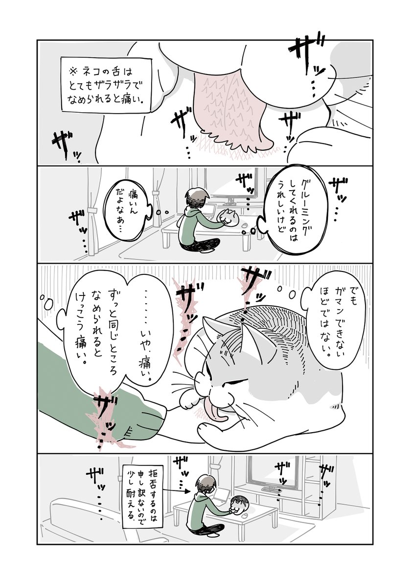 『夜は猫といっしょ』まとめ(2/11) 