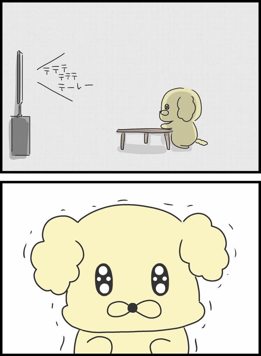 2/8 