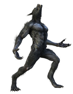 wolf31o2's tweet image. Let&apos;s Go! #wolfmode