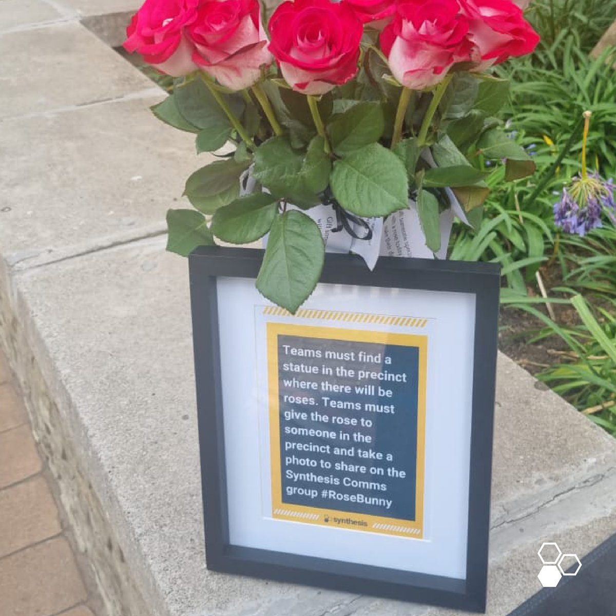 Synthesis Software tweet media