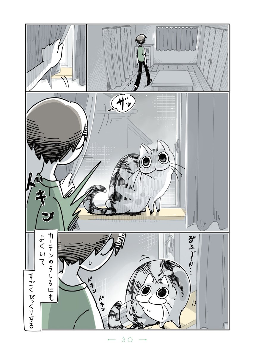 『夜は猫といっしょ』まとめ(5/11) 
