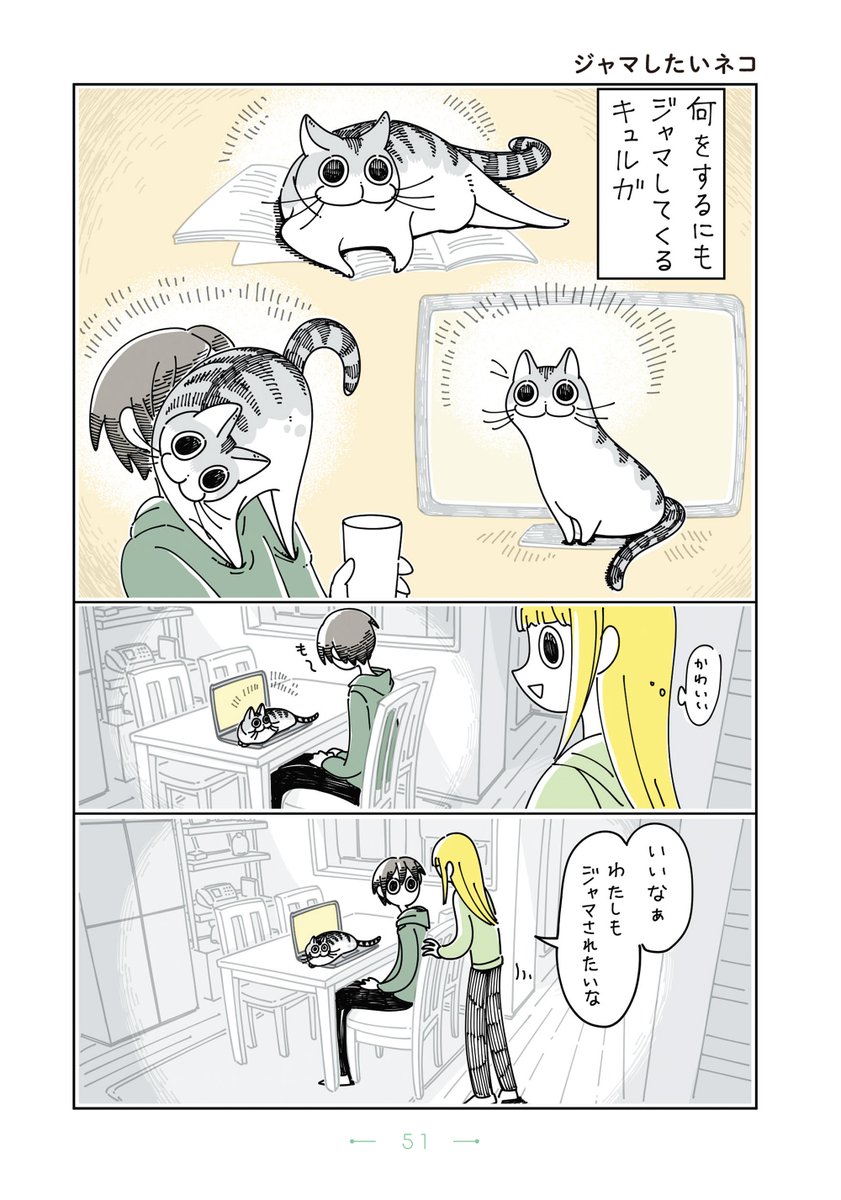 『夜は猫といっしょ』まとめ(6/11) 