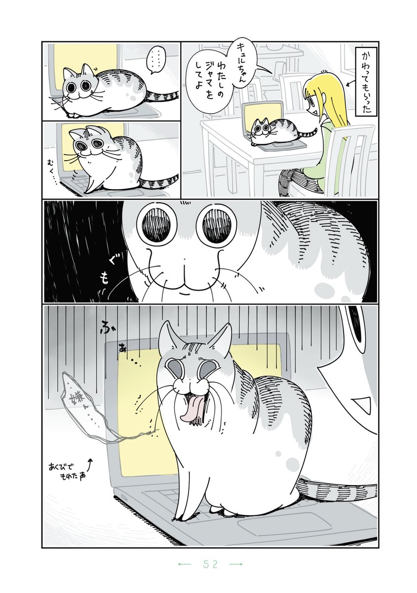 『夜は猫といっしょ』まとめ(6/11) 