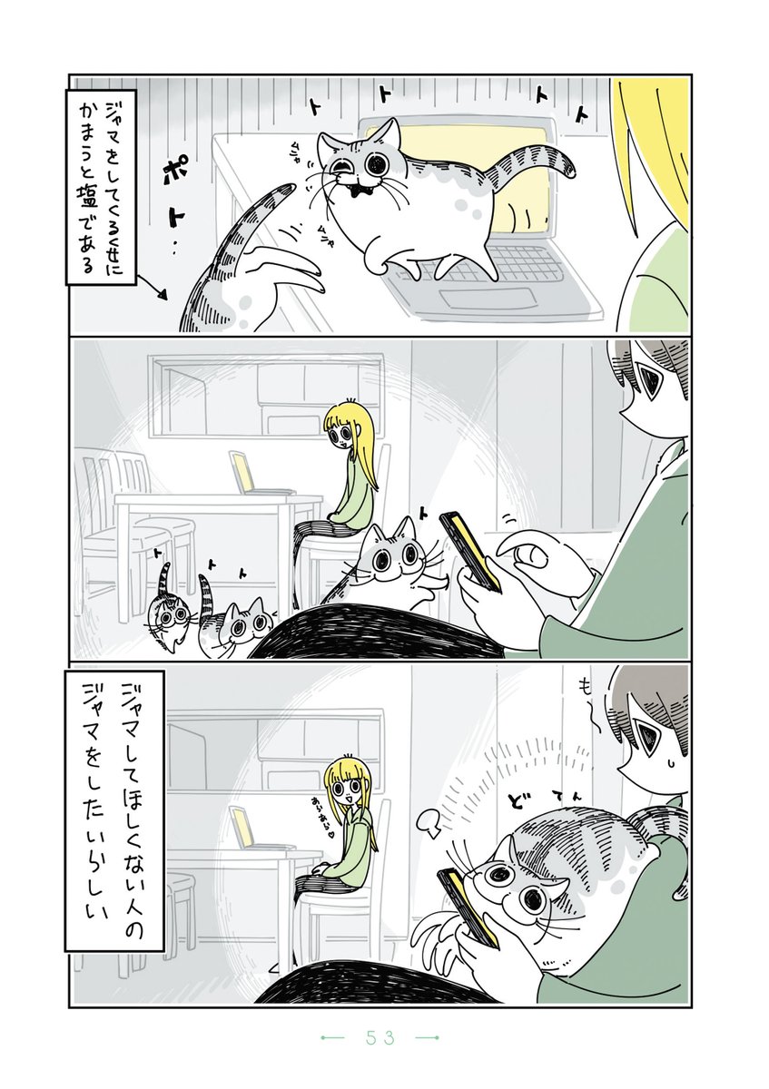 『夜は猫といっしょ』まとめ(6/11) 