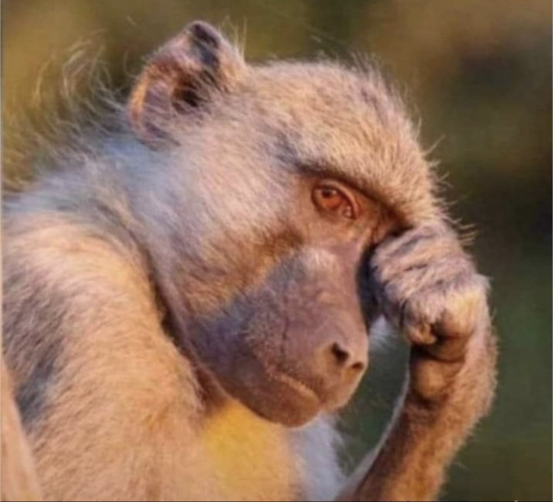 I FOLLOW BACK 
I FOLLOW BACK
I FOLLOW BACK
I FOLLOW BACK
I FOLLOW BACK 
I FOLLOW BACK
I FOLLOW BACK 
JUST NOW AM FOLLOWING BACK⚡️⚡️⚡️⚡️⚡️⚡️⚡️⚡️⚡️⚡️⚡️⚡️⚡️