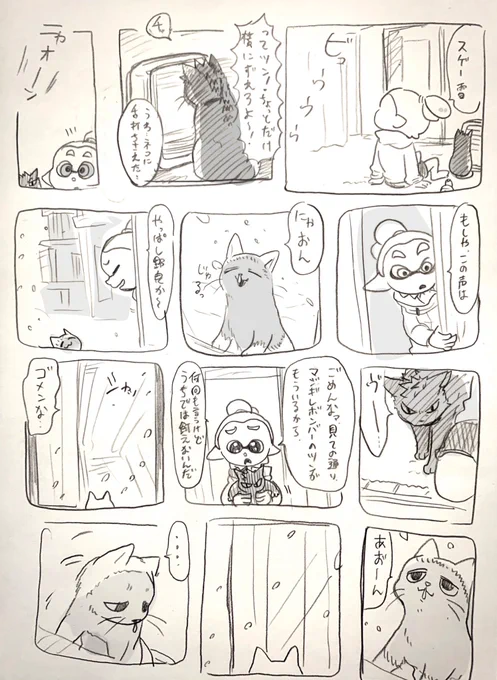 🐱 