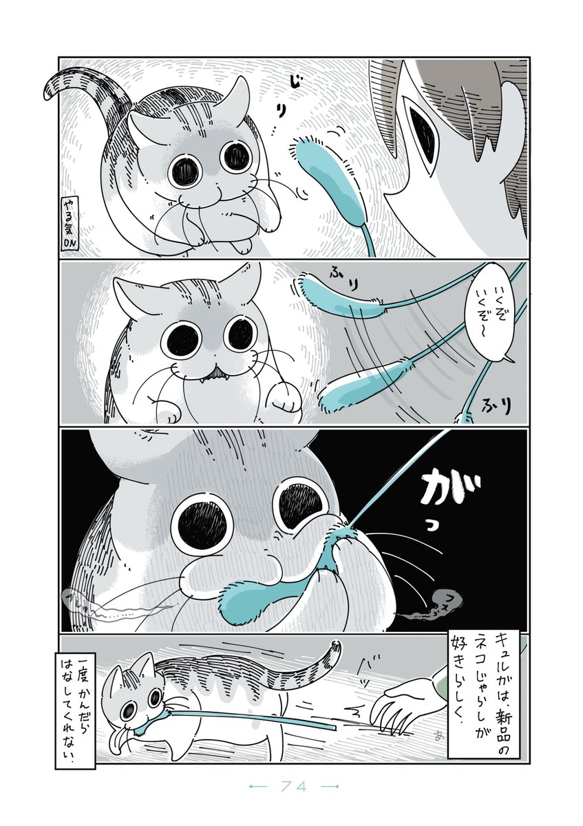 『夜は猫といっしょ』まとめ(10/11) 