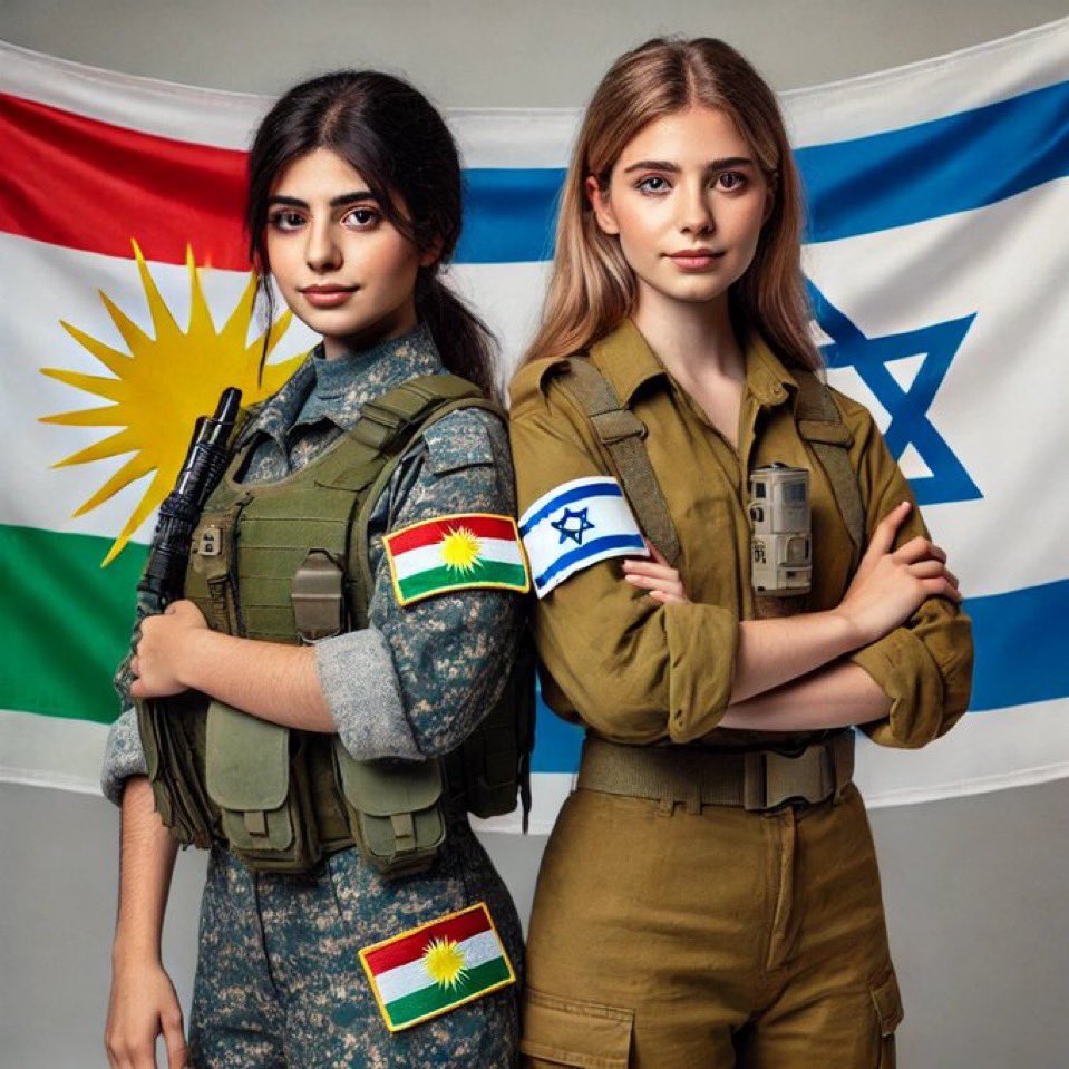 AstyagKurd2723's tweet photo. @YouthViolenceIL #New_Order #Free_Kurdistan #Israel https://t.co/Zc6HUGXXdW