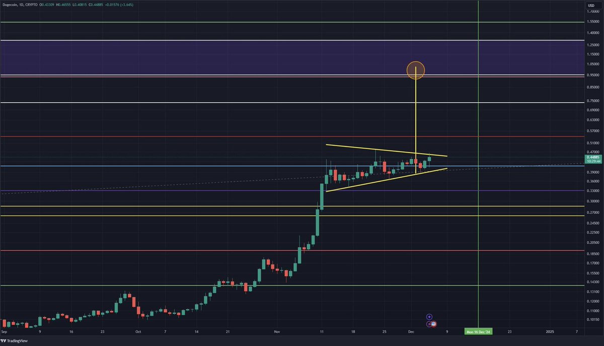 BigWhale tweet media