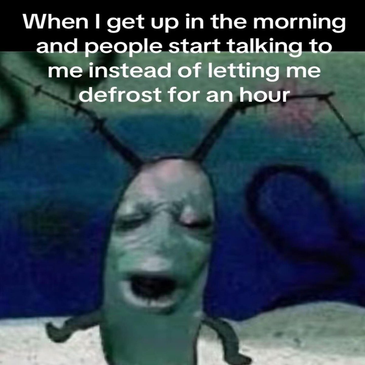 hourly_shitpost's tweet photo. https://t.co/btl5oSKLSd