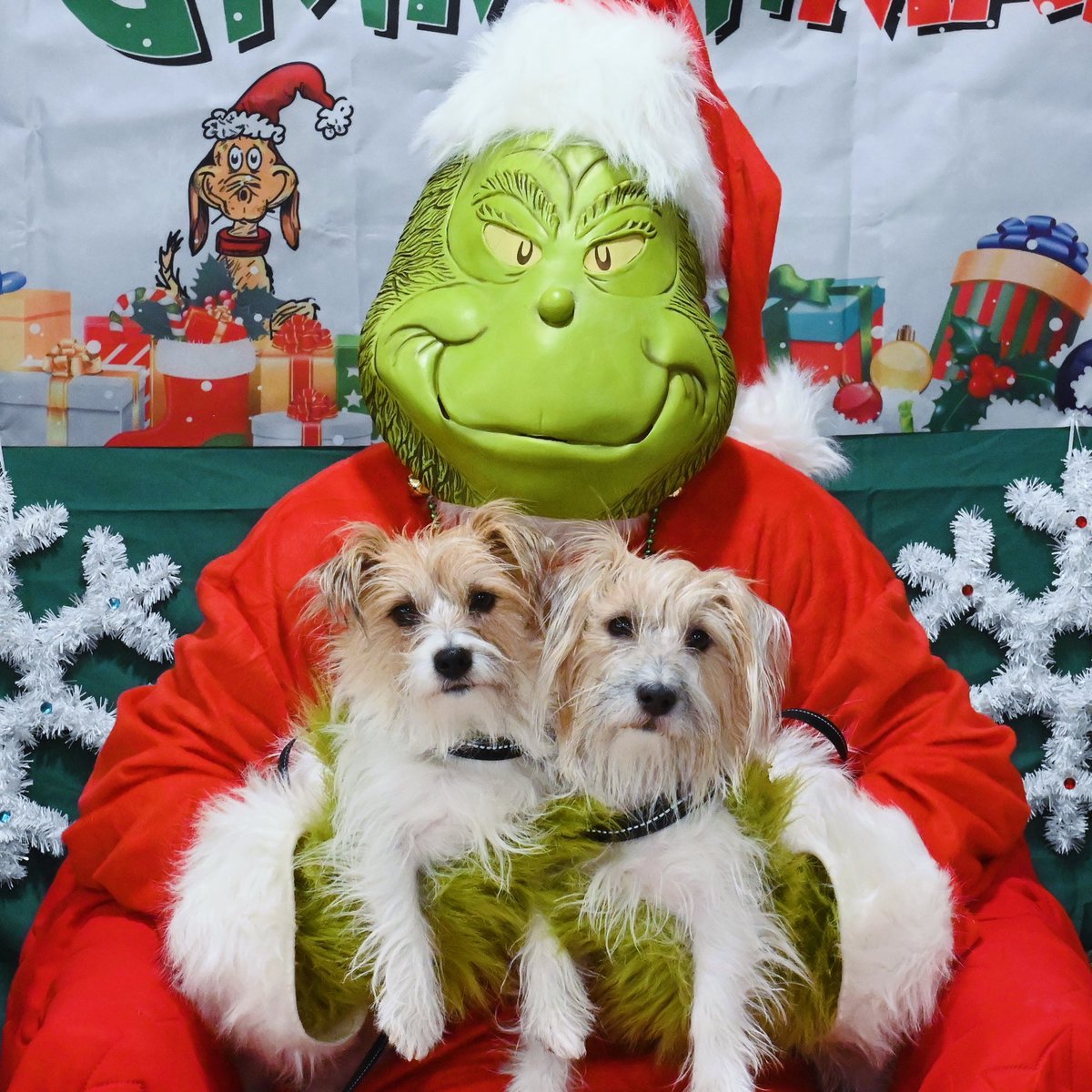 RiverLtMissOtis's tweet photo. @breakfasttv River and Brooke met the Grinch and River was caught kissing Santa Claus.
ππΆπΆ
πΆβ€οΈππ
π»
#thegrinch
#ottawadogs
#santaclaus https://t.co/ejvDg1fpMc