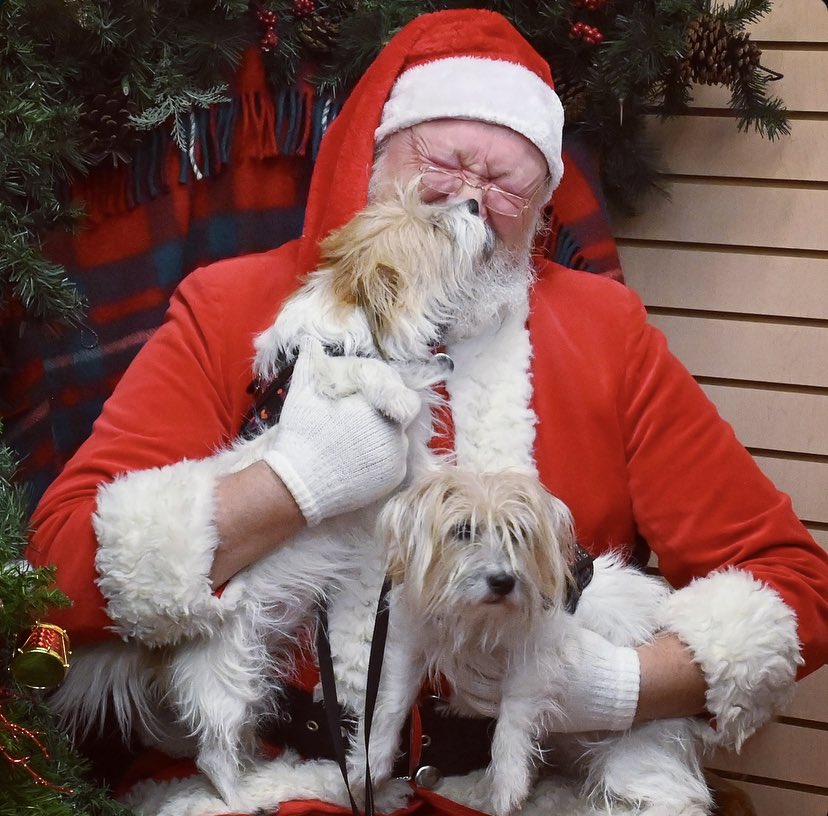 RiverLtMissOtis's tweet photo. @breakfasttv River and Brooke met the Grinch and River was caught kissing Santa Claus.
ππΆπΆ
πΆβ€οΈππ
π»
#thegrinch
#ottawadogs
#santaclaus https://t.co/ejvDg1fpMc