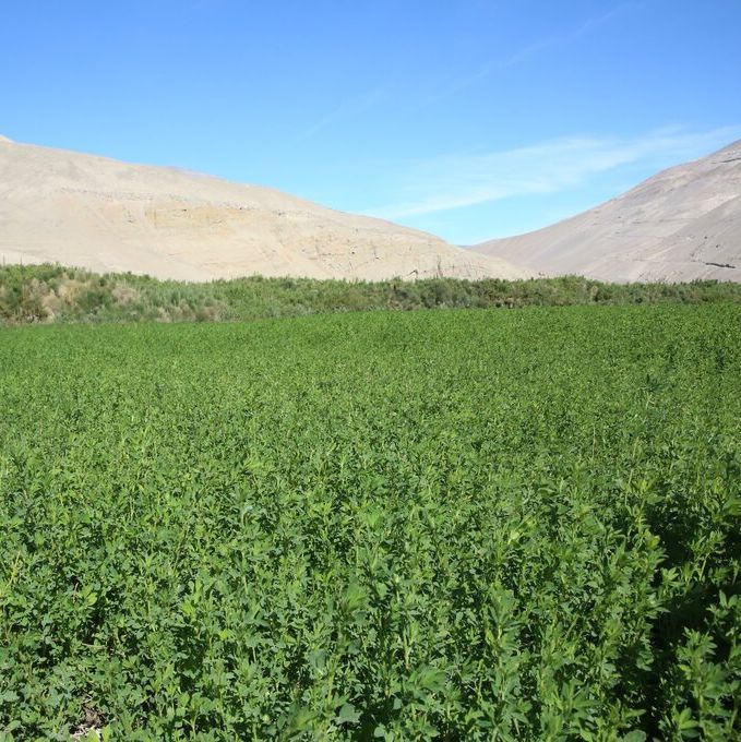 The Crop Trust tweet media