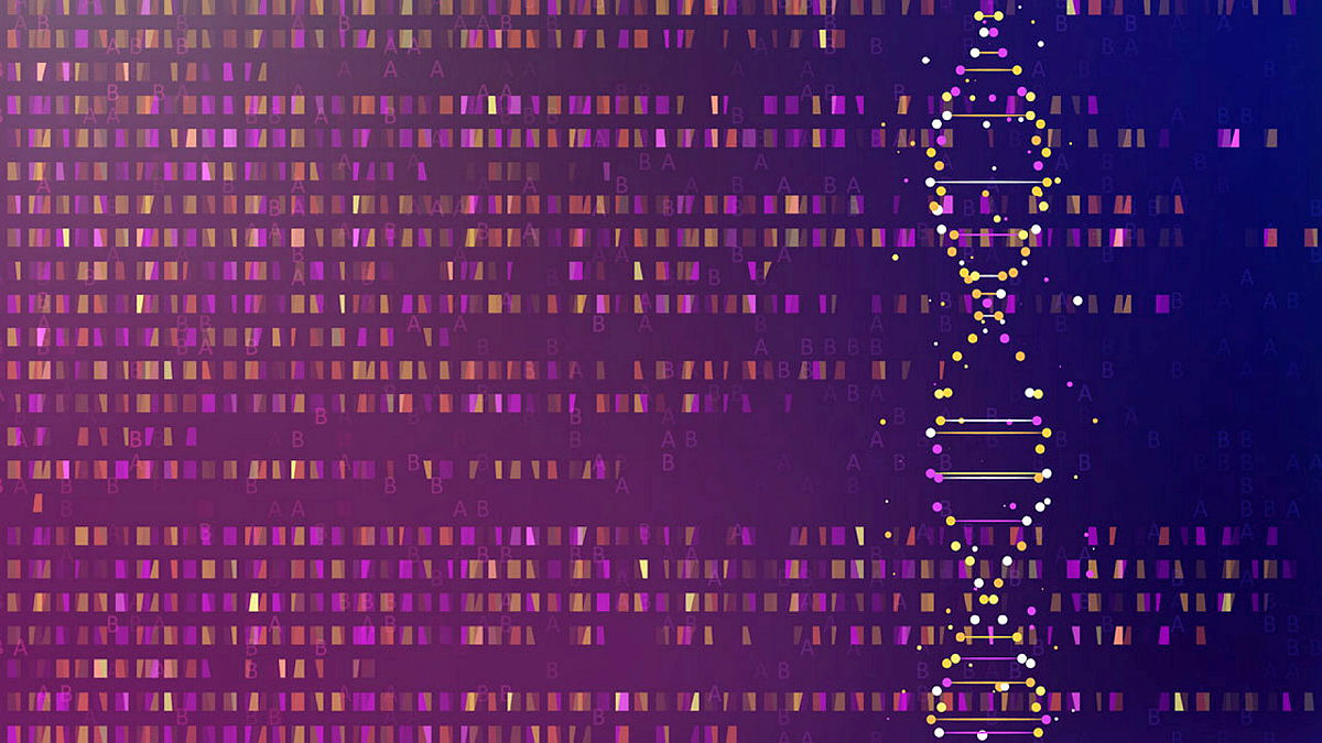 BMC_series's tweet image. In #BMCBioInformatics researchers from @unimib
show that a customized construction of a pangenome graph based on selecting objective functions has a direct impact on the resulting graphs.
read more here: go.sn.pub/m9lqz2