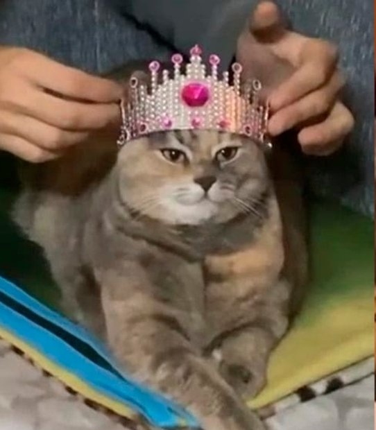 invertedmoonn's tweet photo. Chicos ponganse como fondo de pantalla la carta de la rueda de la fortuna y les juro que plata les va a llegar, y la emperatriz para ser perrota abundante con ganado, de nada ;) https://t.co/cySowF3IKv