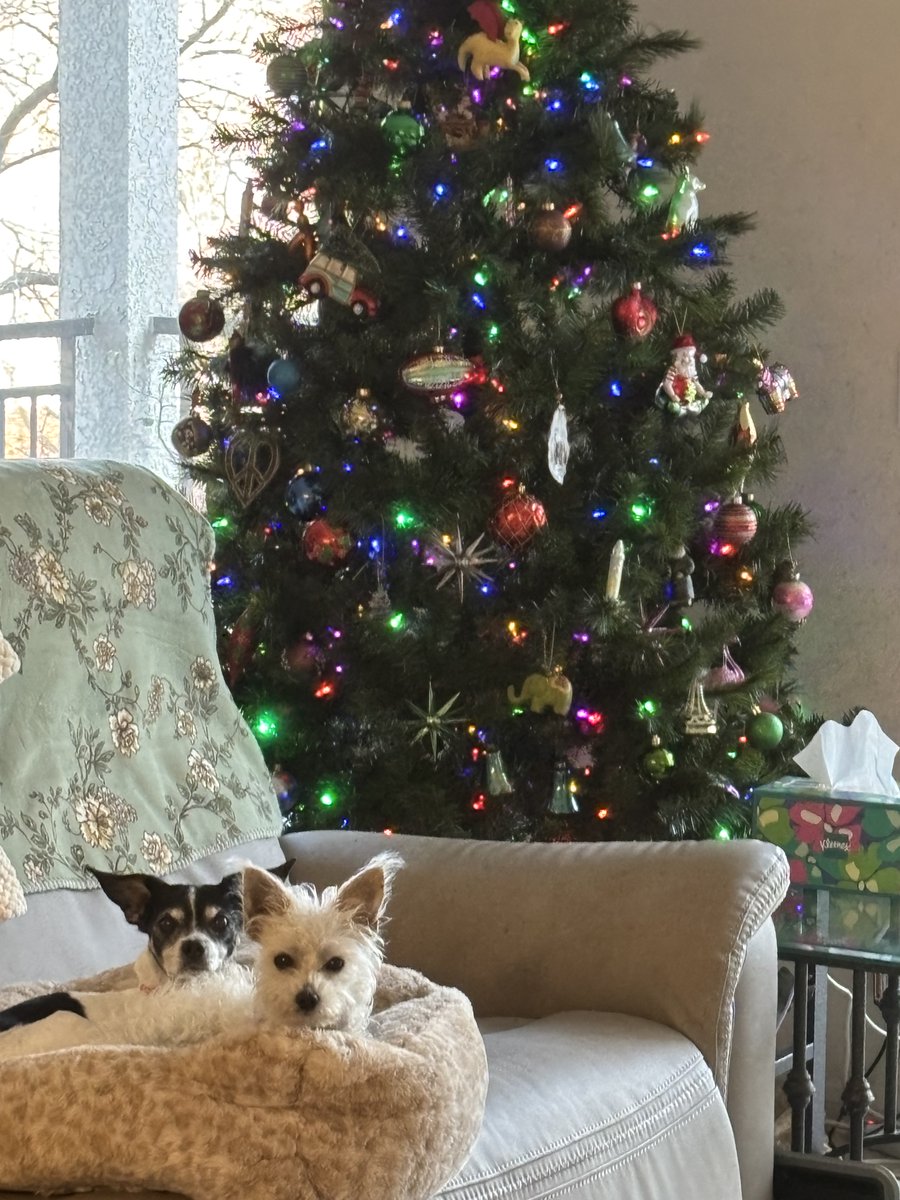 Jonathan Maberry tweet media