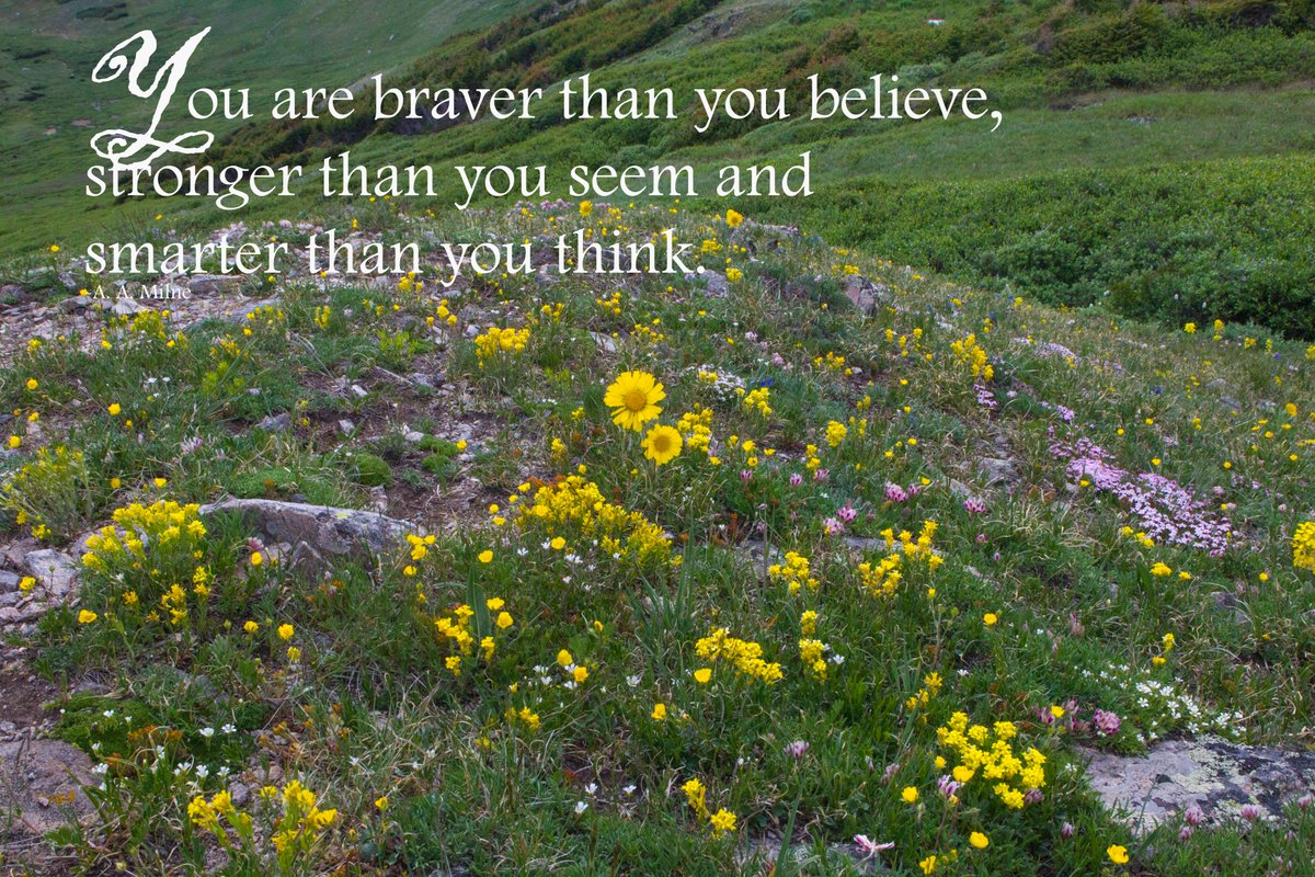 RockyNPS's tweet photo. #RMNP QUOTE OF THE WEEK
You are braver than you believe, 
stronger than you seem 
and smarter than you think. -A. A. Milne
(NPS image of tundra wildflowers in July /A. Schonlau) https://t.co/NBVDlDrGRp