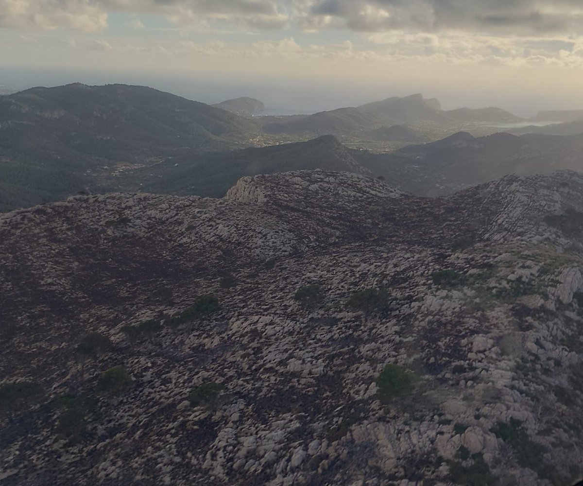AgriculturaGOIB's tweet photo. Incendi forestal #IFCamíSesComes
Extingit 17:45
Afectades 70 ha de carritx i pinar
#Andratx #Mallorca https://t.co/eTp0isOgDD