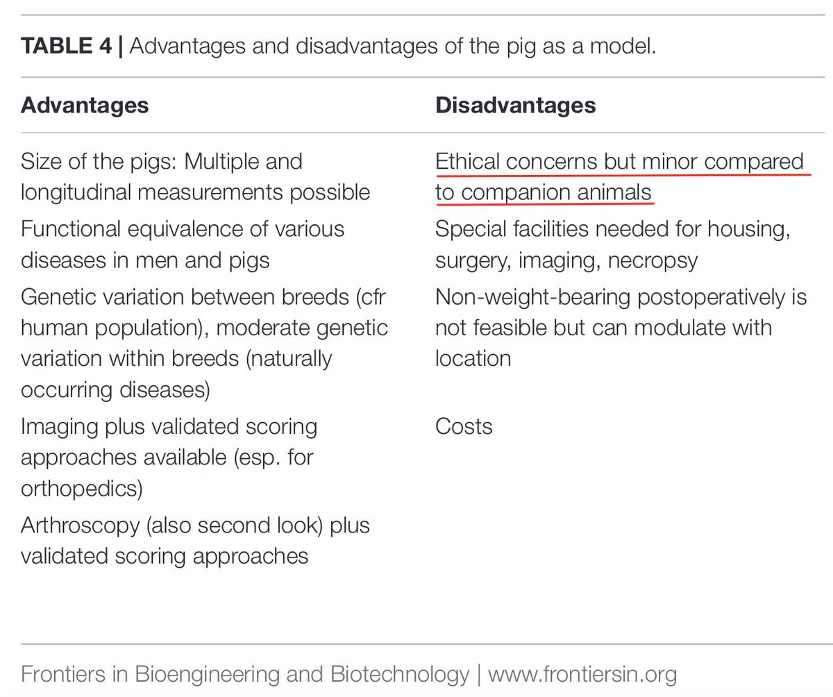 Macrophysiological System🐀 tweet media