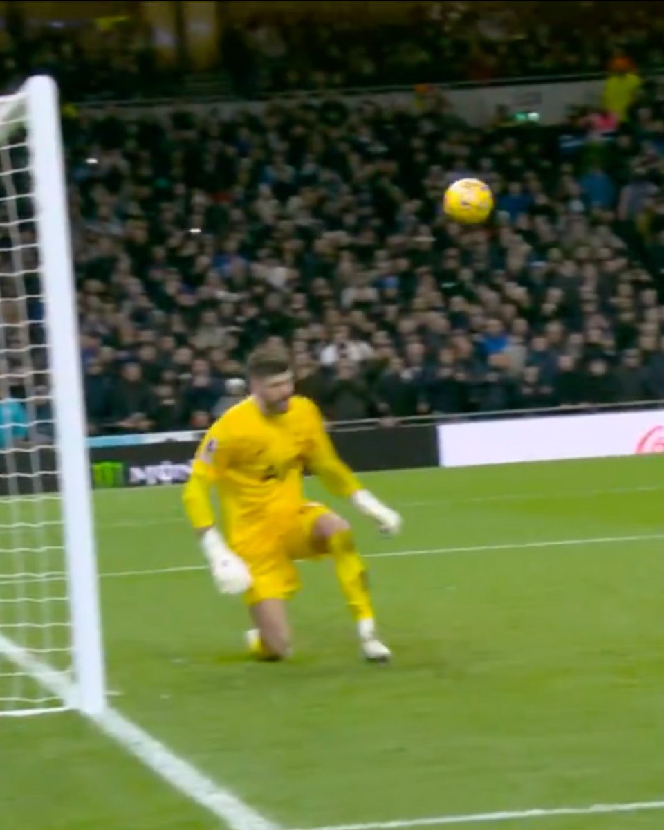 premierleague's tweet photo. The Cole Palmer effect. https://t.co/pM1qNnzbrE