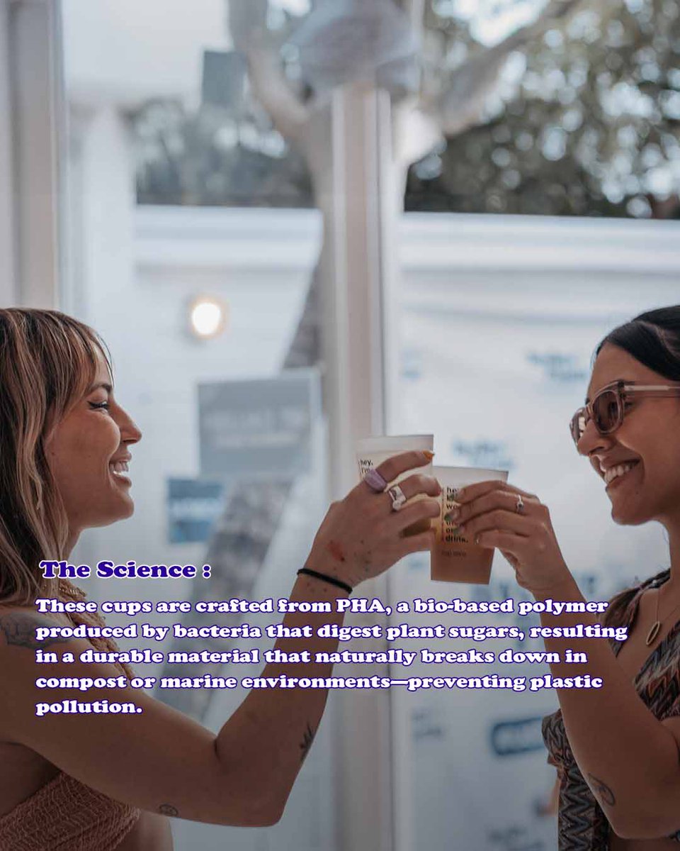 Bye Bye Plastic Foundation tweet media