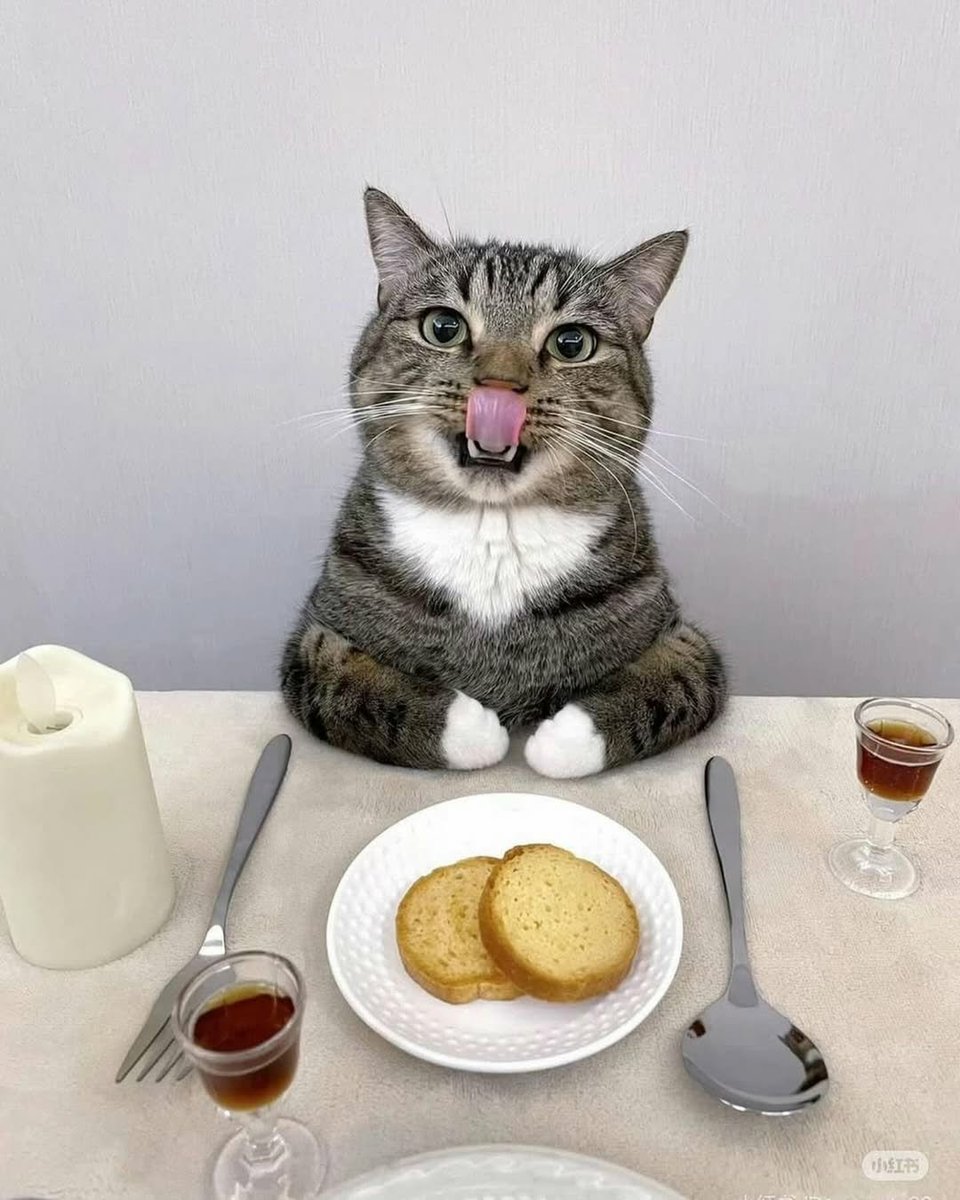 WeAssessCats's tweet photo. https://t.co/s0qnbgTJtm