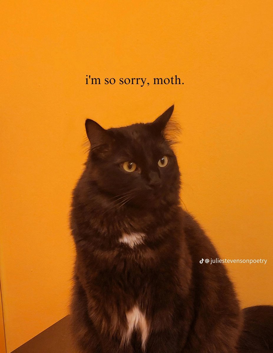 lustyapathy's tweet photo. An apology to my cat by Jules https://t.co/iNiVzbWz5i