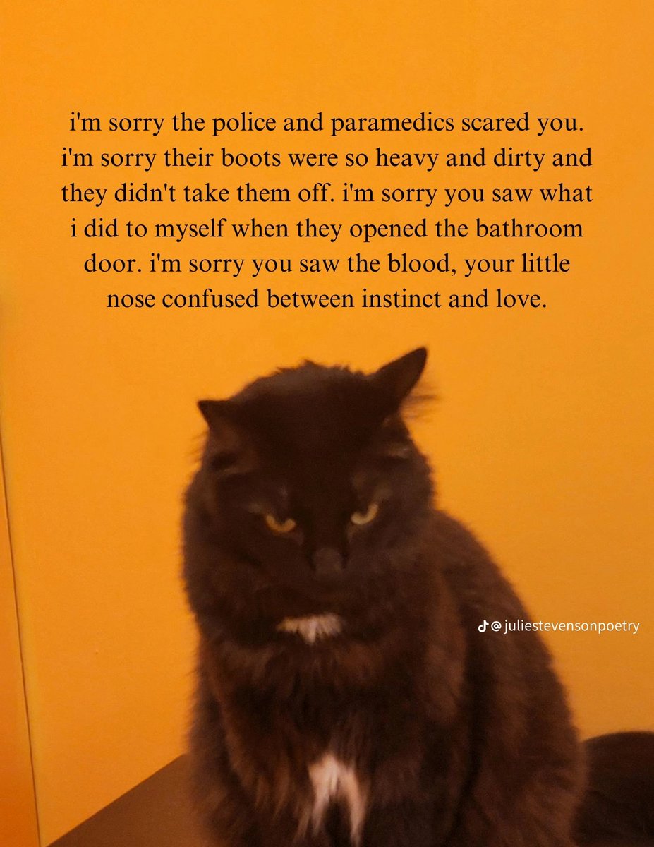 lustyapathy's tweet photo. An apology to my cat by Jules https://t.co/iNiVzbWz5i
