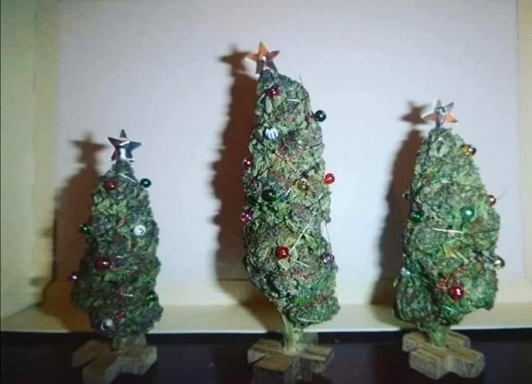 andamos con todo ya decorando