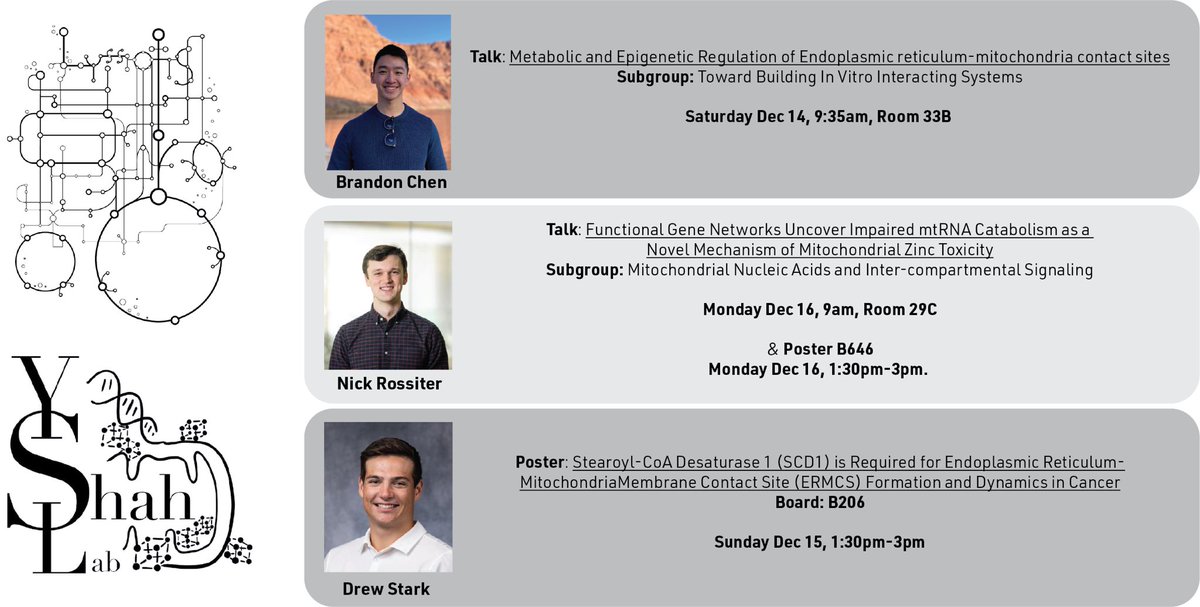 LyssiotisLab's tweet photo. If you are attending #ASCB2024 @ASCBiology, check out this suite of @YatrikShahLab/@LyssiotisLab presentations! https://t.co/Xk9IXI4mog