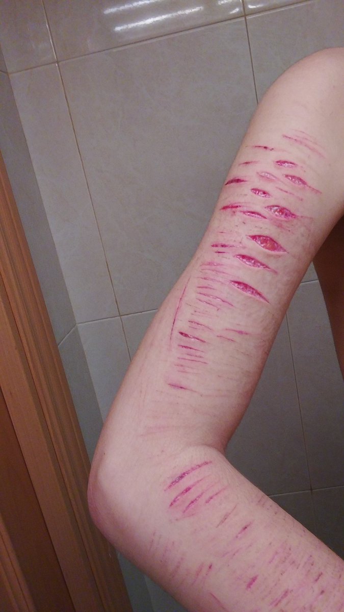 ⁺‧₊˚ ཐི⋆Niko⋆ཋྀ ˚₊‧⁺ tweet media