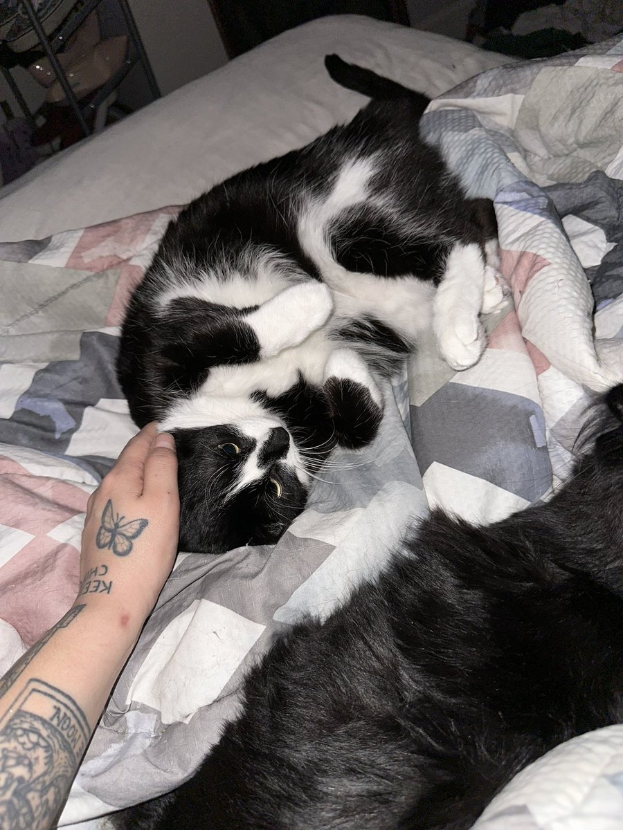 missbitchbootsy's tweet photo. in baby mode despite Him because nevertheless i persist https://t.co/2Pi26q2rda