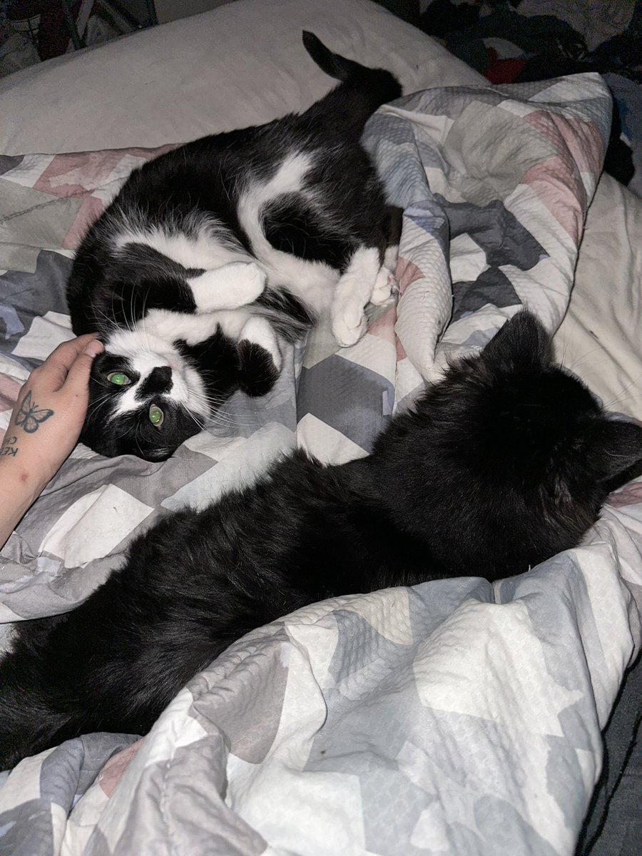 missbitchbootsy's tweet photo. in baby mode despite Him because nevertheless i persist https://t.co/2Pi26q2rda