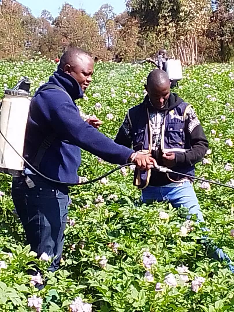 Niheza_Cane's tweet photo. 🇧🇮Muntumbero yo kworohereza abaronkejwe umutahe na @PAEEJ_Burundi mukuronka imbuto zimeze neza,#ErnestNSHIMIRIMANA ahagarariye PAEEJ muri @MwaroProvince yagendeye imirima y'umugwizambuto #GérardNAHIMANA iri muri @Com_Kayokwe,@RusakaCommune na @GisoziCommune,
@BMineagrie
@KwaNtare https://t.co/73kSK0fMnc