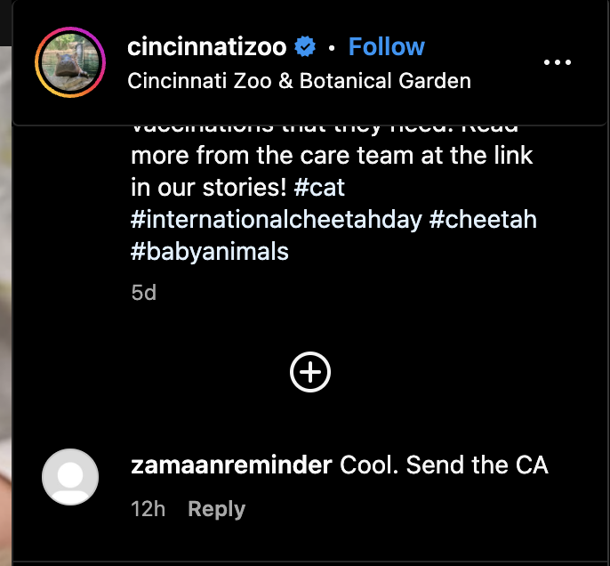 PattyIce tweet media