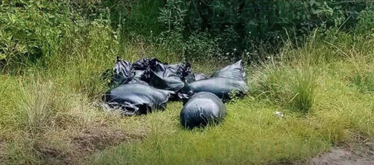 Diario_Portal's tweet image. 💥#Hallan restos #humanos en lugares distintos en #Chicoloapan y #Texcoco💥
🚧La zonas fueron #acordonadas mientras que los servicios #periciales llevaron a cabo el levantamiento de los restos humanos. Investigan si las partes humanas pertenecen a una misma persona.

✍🏽Orlando S.