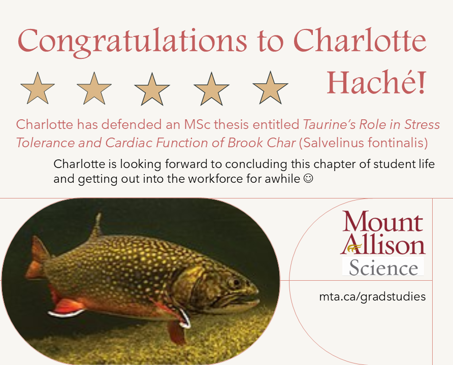 mta_science's tweet photo. This morning's MSc defence was a 'smashing success' says the defence Chair!  **Congrats** to Charlotte, one step closer to a completed MSc degree with the MacCormack Lab at MtA! https://t.co/ZLXbBdbNeg