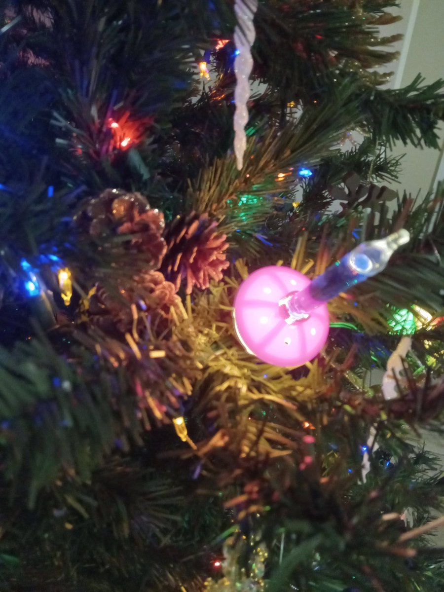 Dead_Clever's tweet photo. Oh Christmas tree, oh Christmas tree! πβ€οΈ
#christmastree #bubblelights #holidays https://t.co/RkIvF8NPJk